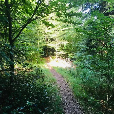 Chez Lou Et Max : Un Havre De Paix. Stosswihr