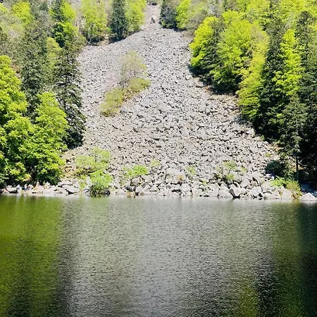 Chez Lou Et Max : Un Havre De Paix. Apartament