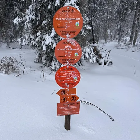 Chez Lou Et Max : Un Havre De Paix. Apartament Stosswihr