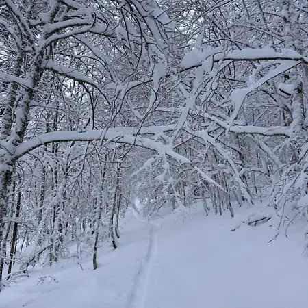 Chez Lou Et Max : Un Havre De Paix. *
